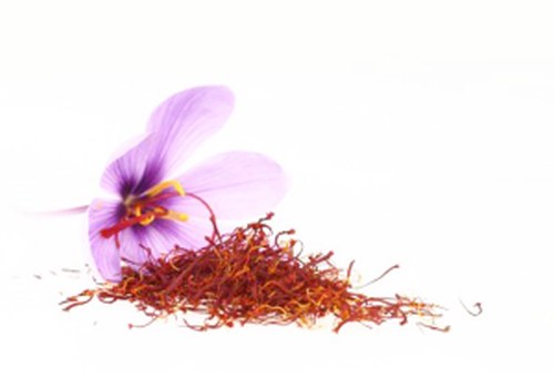 fleur de crocus sativus ou safran